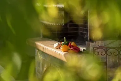 Fiorentinos Vilă